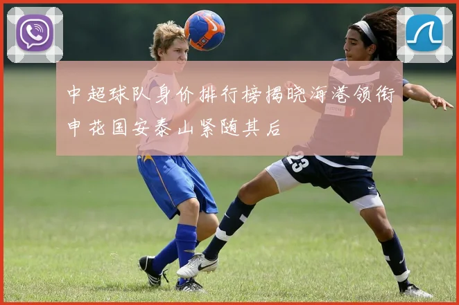 中超球队身价排行榜揭晓海港领衔申花国安泰山紧随其后