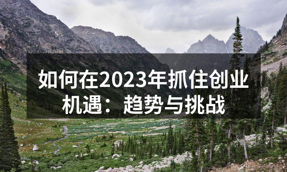 如何在2023年抓住创业机遇：趋势与挑战